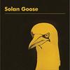 Erland Cooper - Solan Goose (LP)