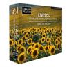 Enescu - Complete Works for Solo Piano