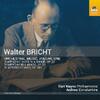 Bricht - Orchestral Music Vol.1