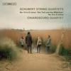 Schubert - String Quartets 14 (Death and the Maiden) & 9
