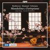 Mandolino e Fortepiano - Beethoven, Hummel, Feliziano, Leone