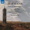 L Hofmann - Flute Concertos Vol.3