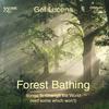 Forest Bathing: Songs to Change the World (And Some Which Won�t)