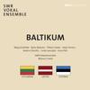 Baltikum: Lithuania, Latvia, Estonia