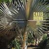 Chris Brown - Some Centre, First Light