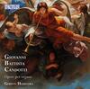 Candotti - Organ Works