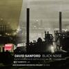 Sanford - Black Noise