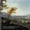 Goldberg - Complete Trio Sonatas