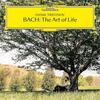 Bach - The Art of Life (Vinyl LP)