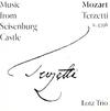 Music from Seisenburg Castle: Mozart - Terzetti, K439b