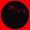 Rosing-Schow - A Talk of Our Time