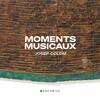 Moments musicaux: Piano Pieces from Bach to Schoenberg with Improvisations