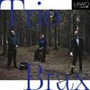 Trio Brax play Habbestad, Lund, Iberg & Hindemith