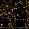Champagne: The Sound of Lumbye and his Idols