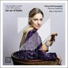 Un Air d�Italie: The Mandolin in Paris in the 18th Century