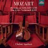 Mozart - Divertimenti K136-138, Eine kleine Nachtmusik
