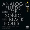 Moor Mother: Analog Fluids of Sonic Black Holes