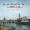 JS Bach - Trio Sonatas after BWV 1027, 1028 & 1029