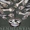 Lustig: Semmelweis