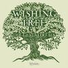 Wishing Tree (Tone Poet)