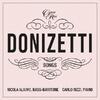 Donizetti: Songs Vol.8