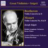 Beethoven/Mozart - Violin Concertos