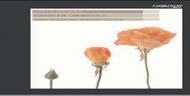 Liszt / Wagner - Sonatas & Metamorphoses | Ambronay AMY008