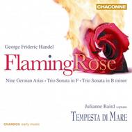 Flaming Rose