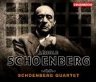 Schoenberg - Complete Works for Strings | Chandos CHAN99395