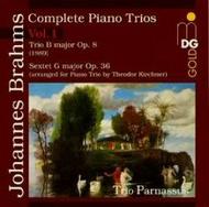 Brahms - Complete Piano Trios Vol 1