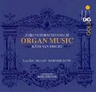 J S Bach - Organ Music  (romantic edition)