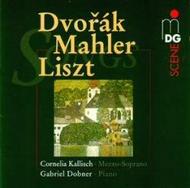 Dvorak / Mahler / Liszt - Songs