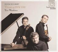 Schubert - Piano Trios Op.99 & 100, Notturno, Sonatensatz | Harmonia Mundi HMC90200203
