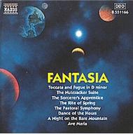 Fantasia | Naxos 8551166