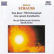 R. Strauss - Orchestral Works | Naxos 8553244