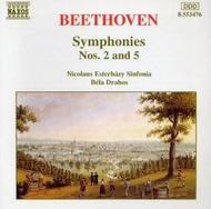 Beethoven - Symphonies Nos.2 & 5 | Naxos 8553476