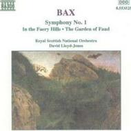 Bax - Symphony No.1 | Naxos 8553525