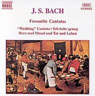 J.S. Bach - Favourite Cantatas