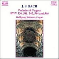 Bach - Preludes & Fugues | Naxos 8550652