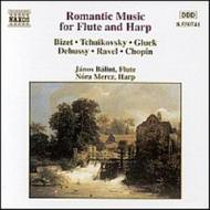 Romantic Music for Flute and Harp | Naxos 8550741