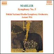 Mahler - Symphony no.5 | Naxos 8550528
