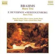 Brahms, Duvernoy & Herzogenberg - Horn Trios | Naxos 8550441