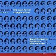 Schubert - Die Schone Mullerin, Arpegionne Sonata