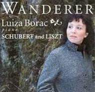 Wanderer - Piano Music by Schubert and Liszt