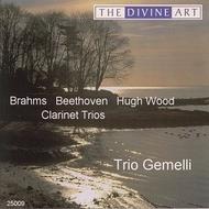 Brahms, Beethoven & Wood - Clarinet Trios | Divine Art DDA25009