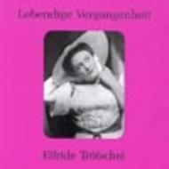 Lebendige Vergangenheit - Elfride Trotschel