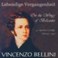 On the Wings of Belcanto (Legendary Recordings 1905-49)