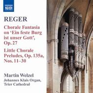 Reger - Organ Works Vol. 8 | Naxos 8570455