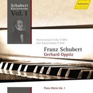 Schubert - The Great Piano Works Vol.1 | Haenssler Classic 98287