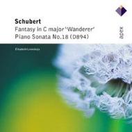 Schubert - Fantasy in C Wanderer, Piano Sonata No.18 | Warner - Apex 0927408312